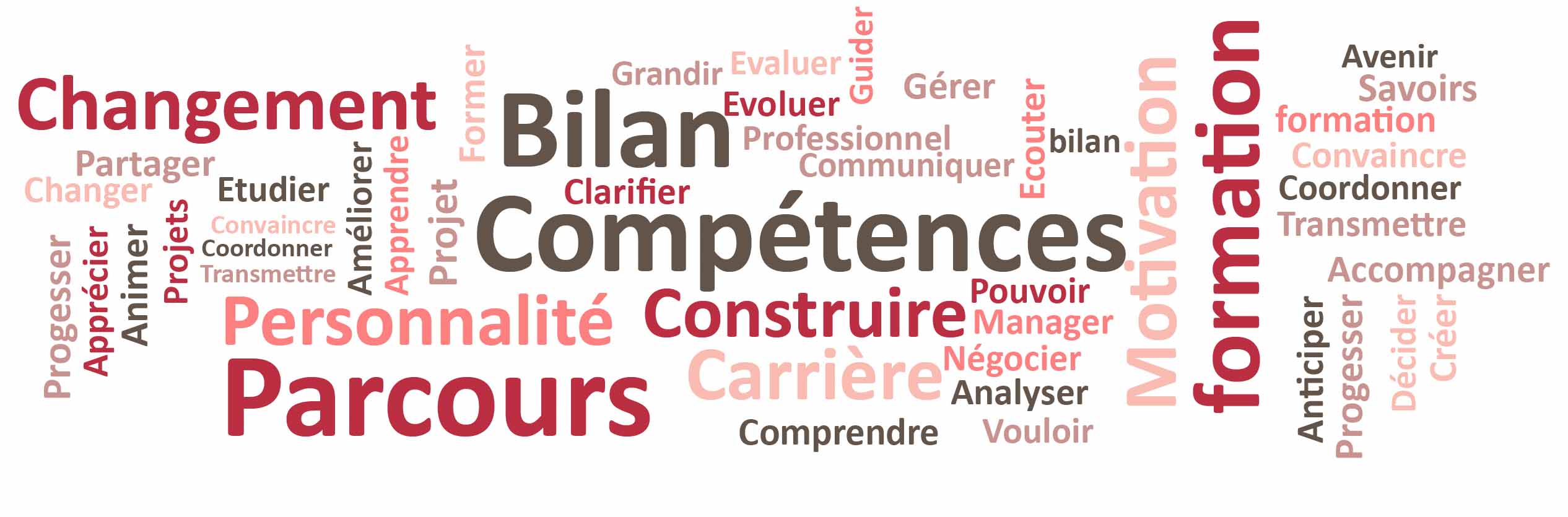 Adalie Bilan de competence